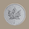 Palladium Maple Leaf